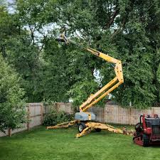 Reliable Port Allen, LA Tree Services Solutions